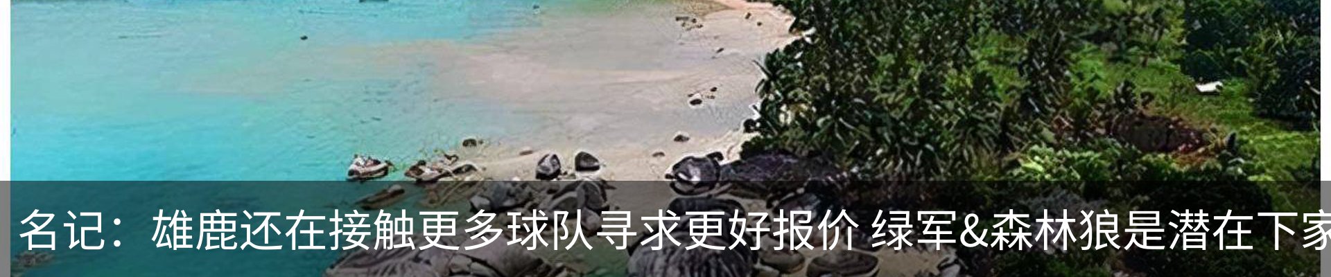 行业资讯